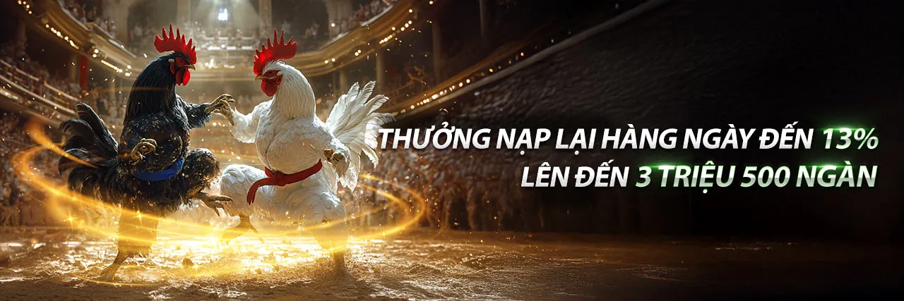 Đá gà trực tuyến oxy88 - Sân chơi uy tín