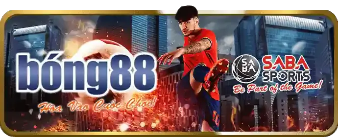 Giới thiệu tổng quan về nền tảng cá cược uy tín oxy88